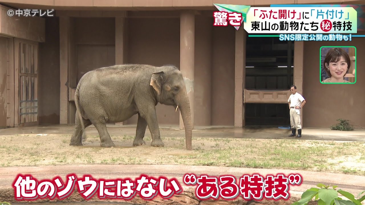 【動物たち秘特技】「ペットボトルのふた開け」に「ホースの片付け」  ＳＮＳ限定公開の動物も！