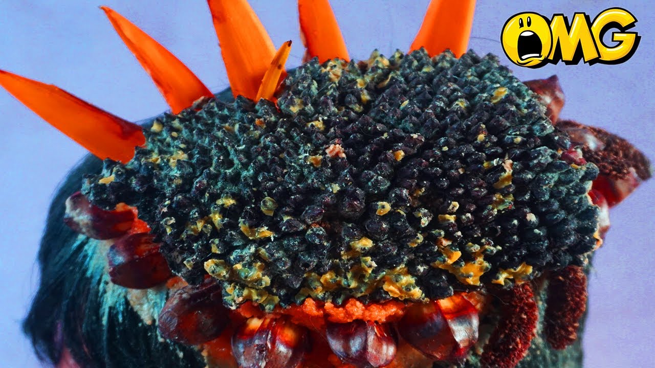 Help Cleaning Dandruff On Scalp 1210 YouTube