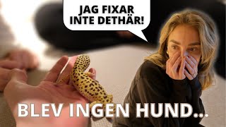 Ouppskattade FAMILJEMEDLEMMAR! (Eng Sub)