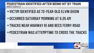 VIDEO:  Coroner identifies pedestrian struck by train in West Ashley