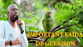 LALABY GAOUSSOU BERTHE IMPORTANT FAÏDA DE GUERISON