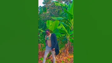 Na Kama Penzi N Chupa La Biya Nipe Sana Wee Mlevi 