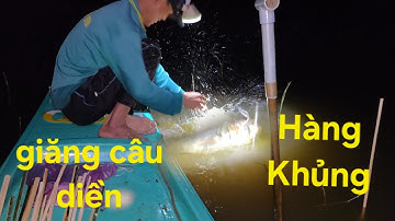 Lần đầu giăng câu diền. Mời thả xong cá lôi mất tiêu diền câu | Săn bắt SÓC TRĂNG |