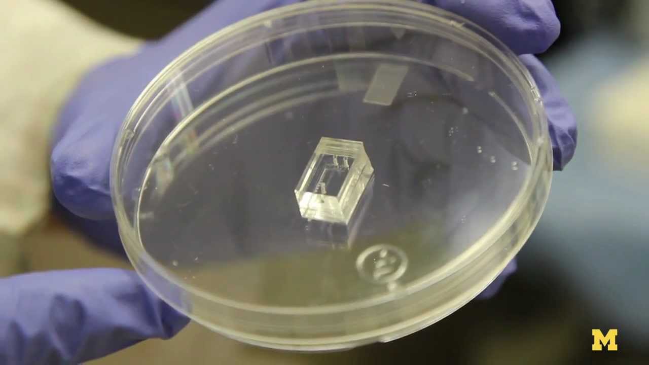 Lab on a Chip - YouTube