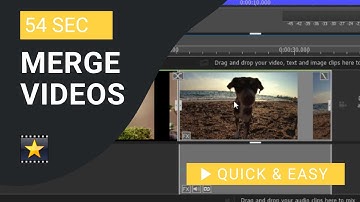 VideoPad Tutorial: How to Merge Videos in VideoPad