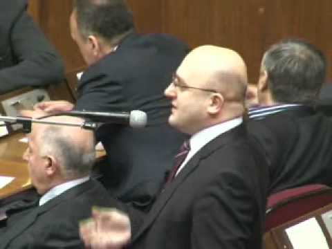 პარლამენტის პლენარული სხდომა