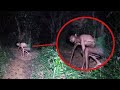 If these creatures were not filmed no one would have believed them
