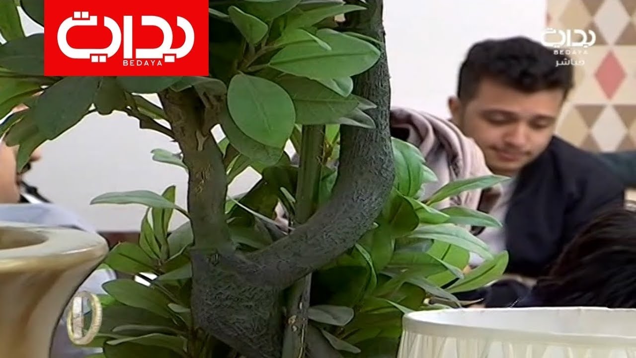 جلسة إنشادية مع معن برغوث ومصطفى حمدو - الأحد | #زد_رصيدك90