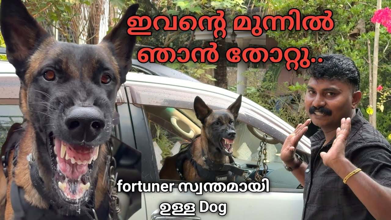 ലോകത്തു ഇതുപോലെ ഒരെണ്ണം ഉണ്ടാവില്ല.. Dog challenge.. Leash talks 