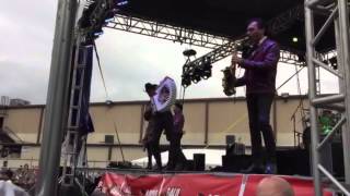 Tigres del norte de rama en rama