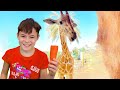 Anabella and Bogdan Feed the Animals in the Animal World : Video compilation