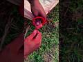 The Easiest Tarp Corner Knot That Actually Works!