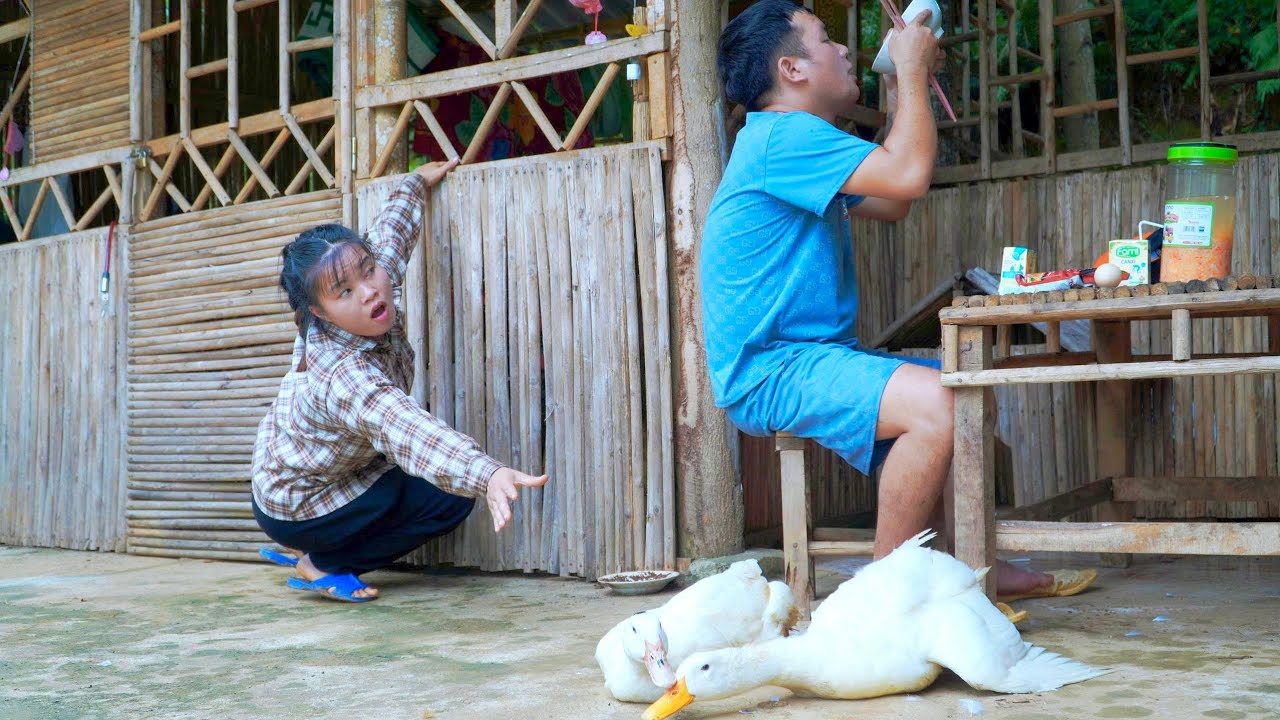 Как злодей украл скот у бедной девушки, чтобы она об этом не узнала?