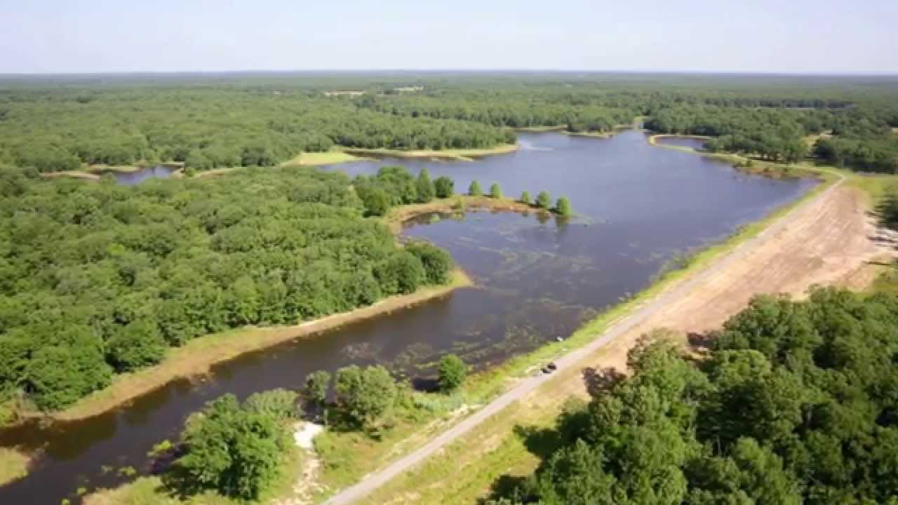 Lake Quail Haven YouTube