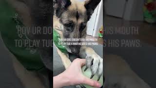 Do u kno da wei? Subscribe for more KnuckleHeadMemes #shorts