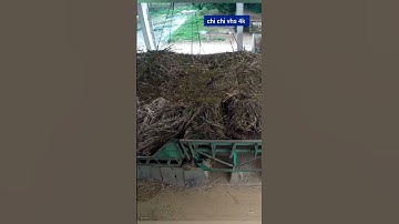 kỹ năng lái cẩu trong khu công nghiệp