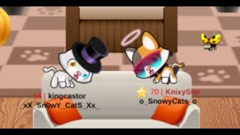 Who will find a diamond first in Meow Playground?