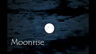 Moonrise (Twilight from Alice's POV) Chapter 7