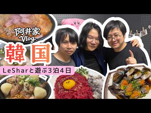 【LeSharハウスあり】LeSharと遊ぶ韓国3泊4日【阿井家Vlog】
