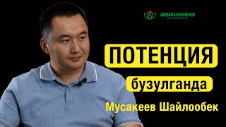 видео: Потенция бузулганда картинка: Потенция бузулганда