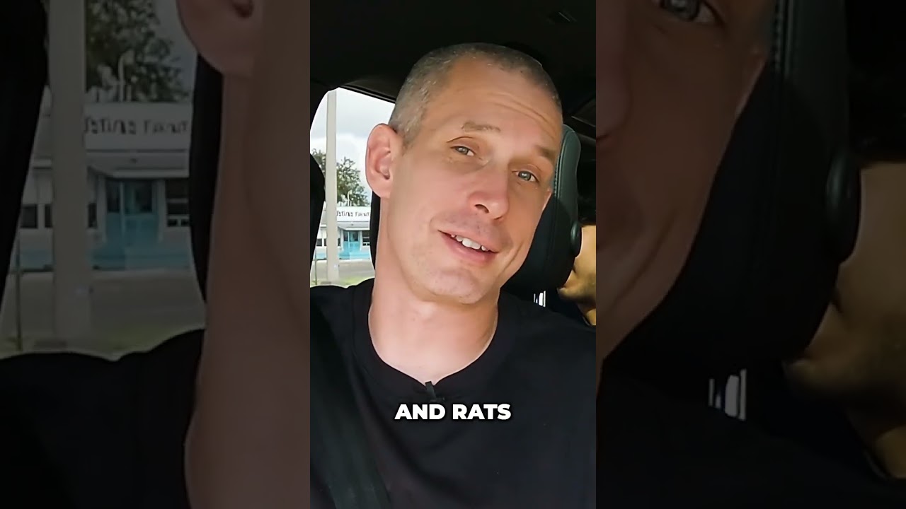 Taco Bell Breakfast Review: Are These Morning Menu Items Worth It?