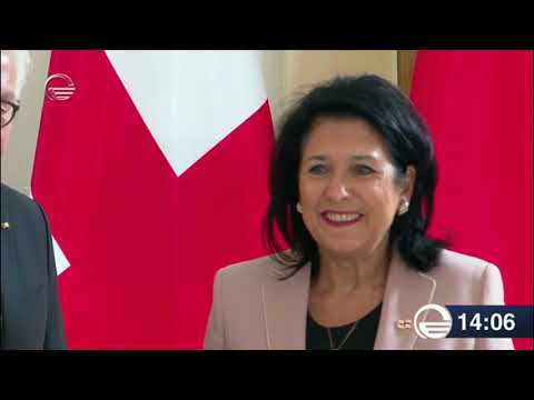 გერმანიის პრეზიდენტი გიორგი გახარიას შეხვდა