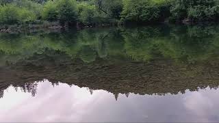 Bear River flows, June 2nd, 2026, 165 cfs beaver pond