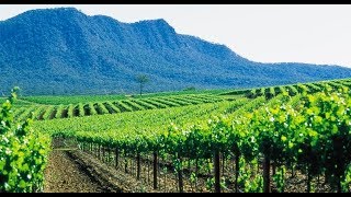 Hunter Valley Vineyard Stay and Winery Tour, Australia~