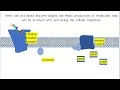 Cell Signaling and Signal Transduction Quiz