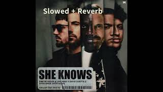 Dimitri Vegas & Like Mike, David Guetta, Afro Bros - She Knows (With Akon) (Slowed + Reverb) Resimi