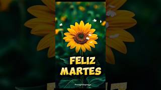 Feliz Martes para Ti 🙏💖#buenosdias