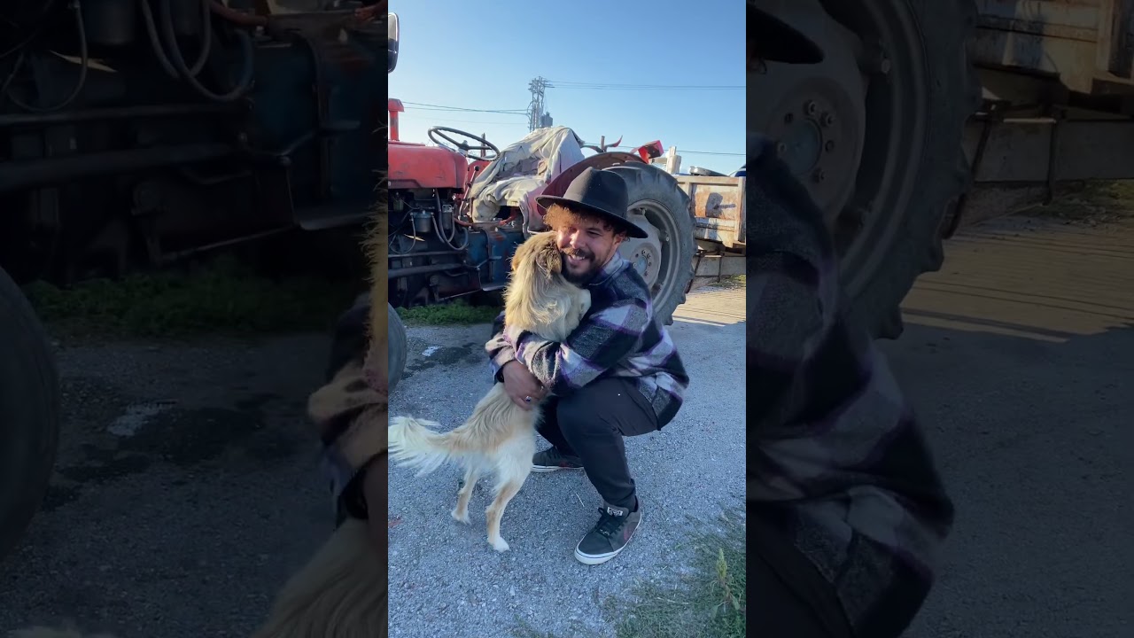 Dog gets ready for adventure 🥰😍🤩 #shorts