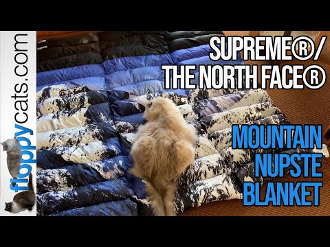 Supreme X North Face Mountain Nuptse Blanket + Ragdoll Cat