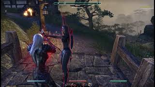 Malkhai LaChance in ESO / Unarmed Combat