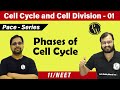 Cell Cycle and Cell Division - 01 | Phases of Cell Cycle | Class 11 | CBSE | NEET | Pace Series