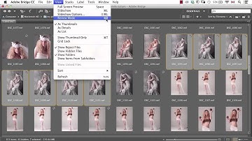 Adobe Bridge for Photographers: Introduction
