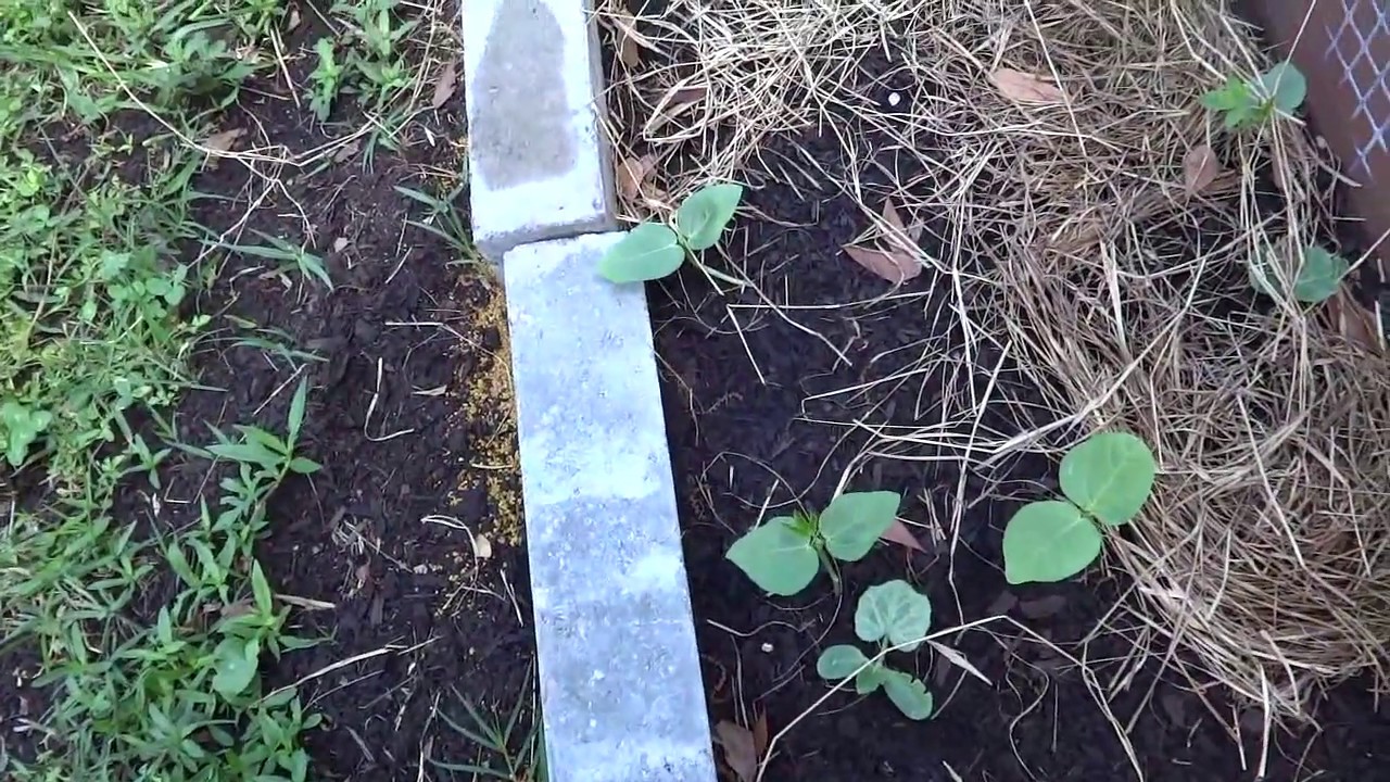 new-garden-boxes-louisiana-zone-9a-youtube