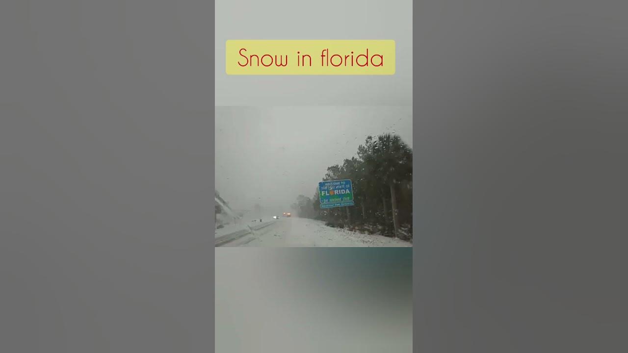Snow in florida 2025 YouTube