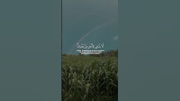 (قَالَ رَبِّ ٱغْفِرْ لِى وَهَبْ لِى مُلْكًۭا ..) من سورة ص - سعد أزويت.