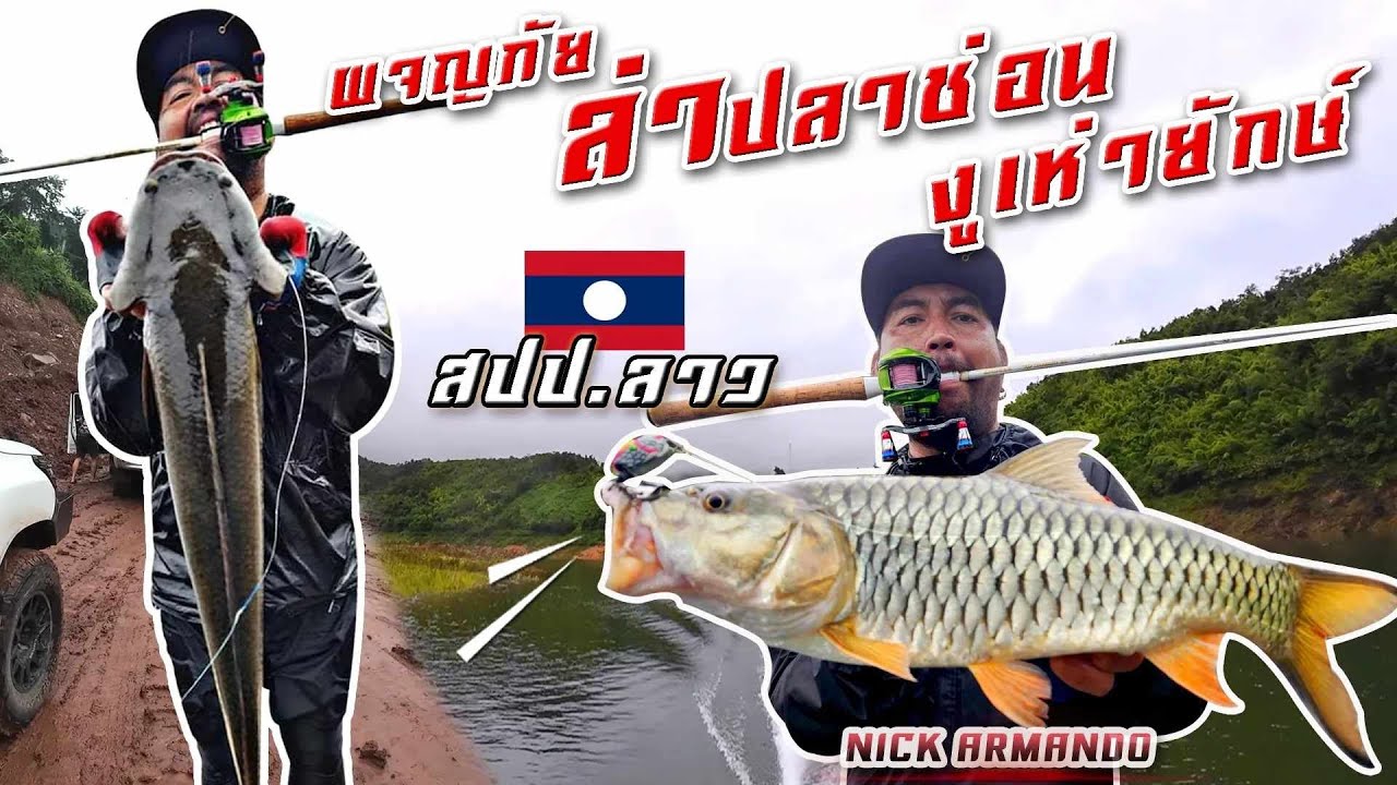 ผจญภัย ตกปลาช่อน งูเห่า ที่สปป.ลาว