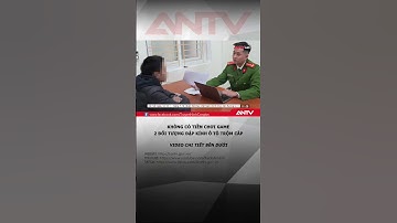 Hai đối tượng liều lĩnh đập nhiều kính ô tô trộm cắp tài sản #antv #shorts #dapkinhoto