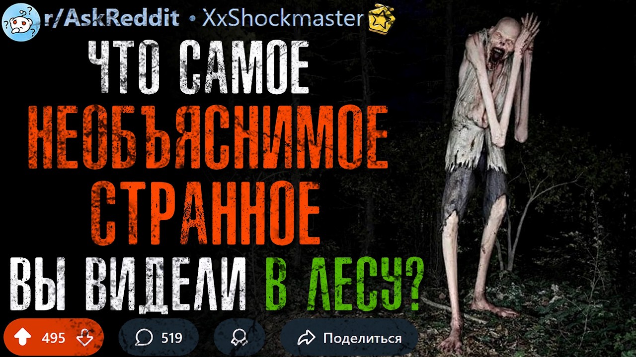 Что Самое Странное/Страшное Вы Видели в ЛЕСУ? #7