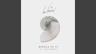 Middle of It - Ian Ewing & Sara Diamond