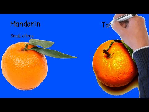 Video: Skillnaden Mellan Orange Och Mandarin