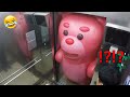 Elevator prank   giant bear