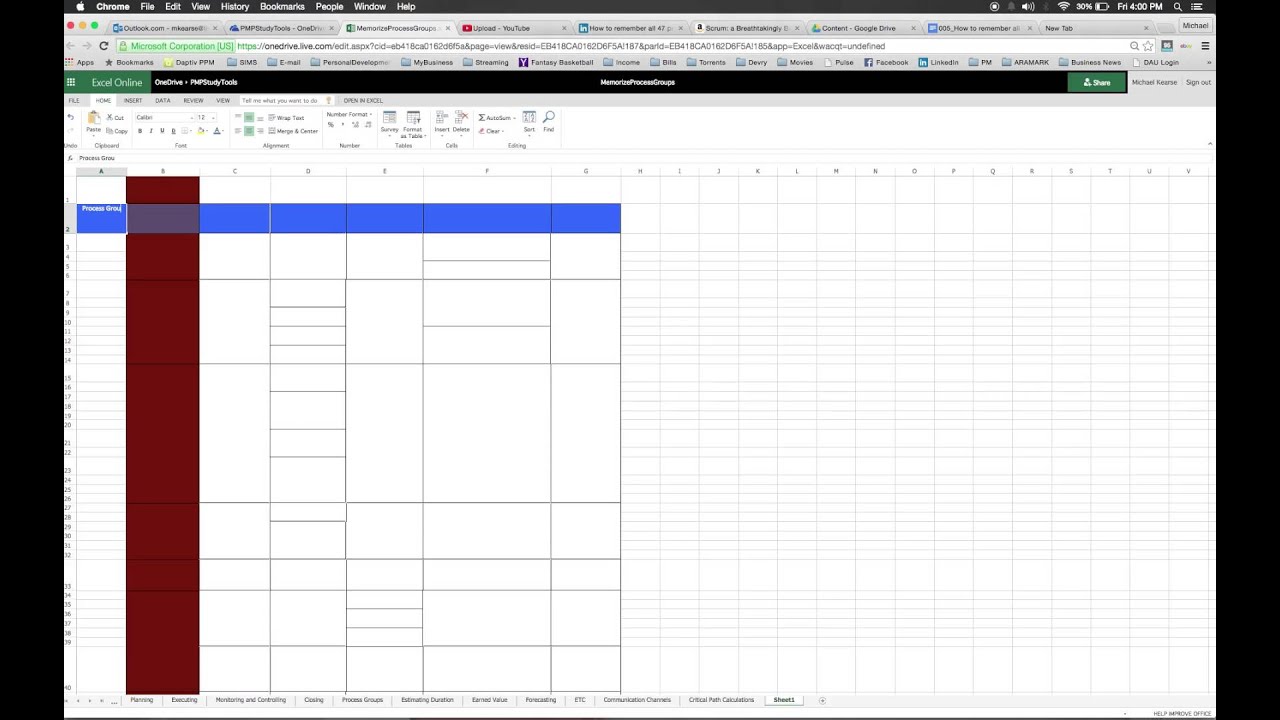 Blank Pmp Process Chart