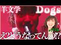 【羊文学】変拍子！不協和音！どうなってんの！？オルタナティヴ・ロックかっけぇ〜【Dogs | MUSIC AWARDS JAPAN 2026 | ドラマ「九条の大罪」主題歌】【リアクション】