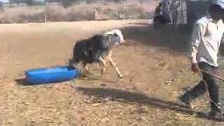 VID-20130430-WA0001.mp4
