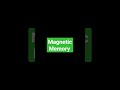 who is called magnetic memory