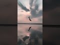 日本のウユニ塩湖でバク宙｜トリッキング｜アクロバット#shorts